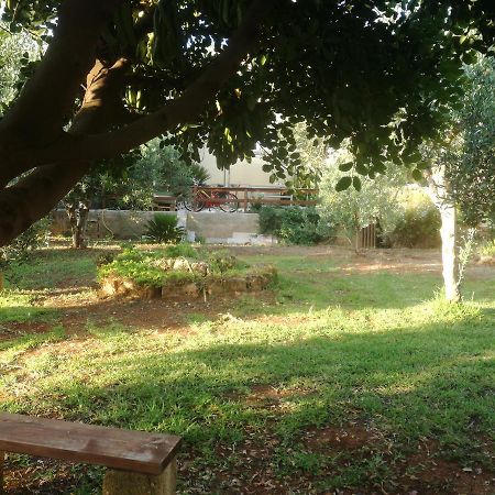 Aquilone Apartment Castelluzzo Bagian luar foto